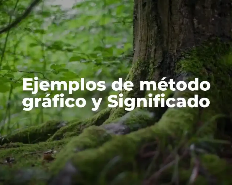 Ejemplos de método gráfico y Significado