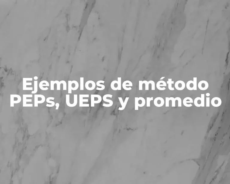 Ejemplos de método PEPs, UEPS y promedio