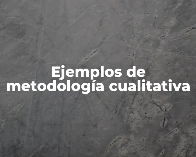 Ejemplos de metodología cualitativa