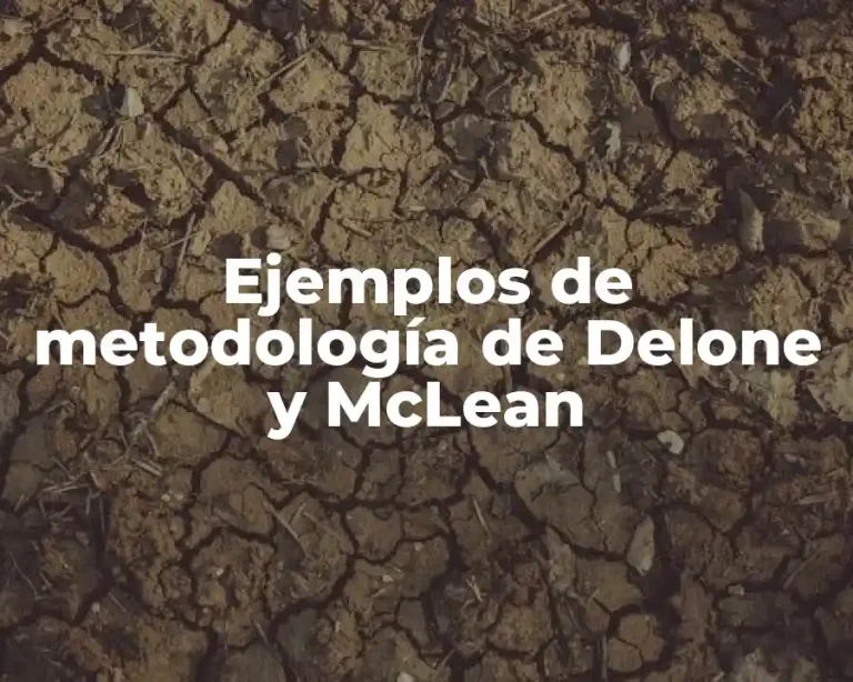 Ejemplos de metodología de Delone y McLean