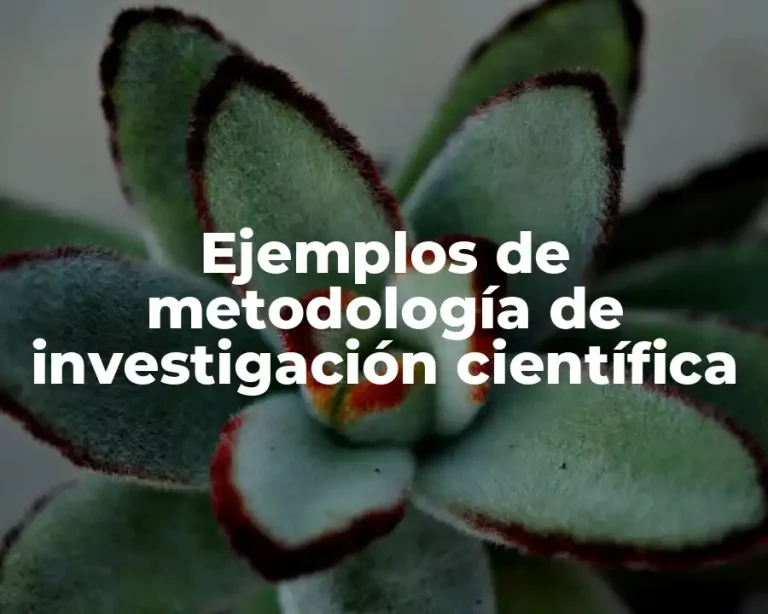 Ejemplos de metodología de investigación científica