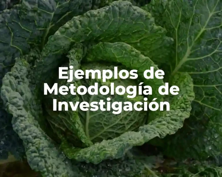 Ejemplos de Metodología de Investigación
