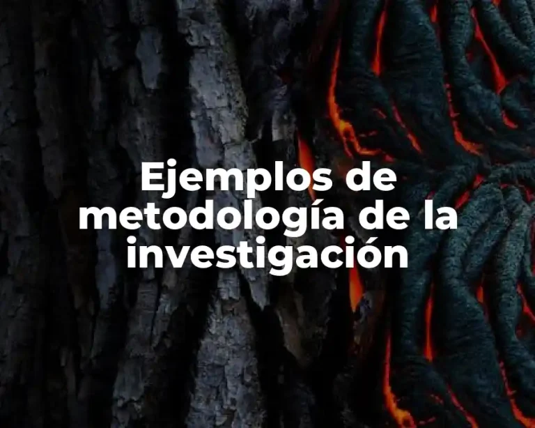 Ejemplos de metodología de la investigación