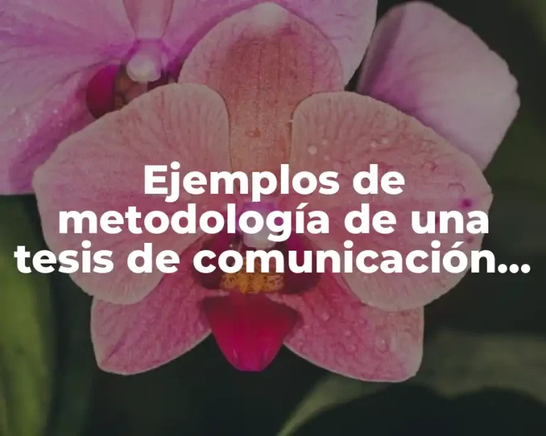 Ejemplos de metodología de una tesis de comunicación interna
