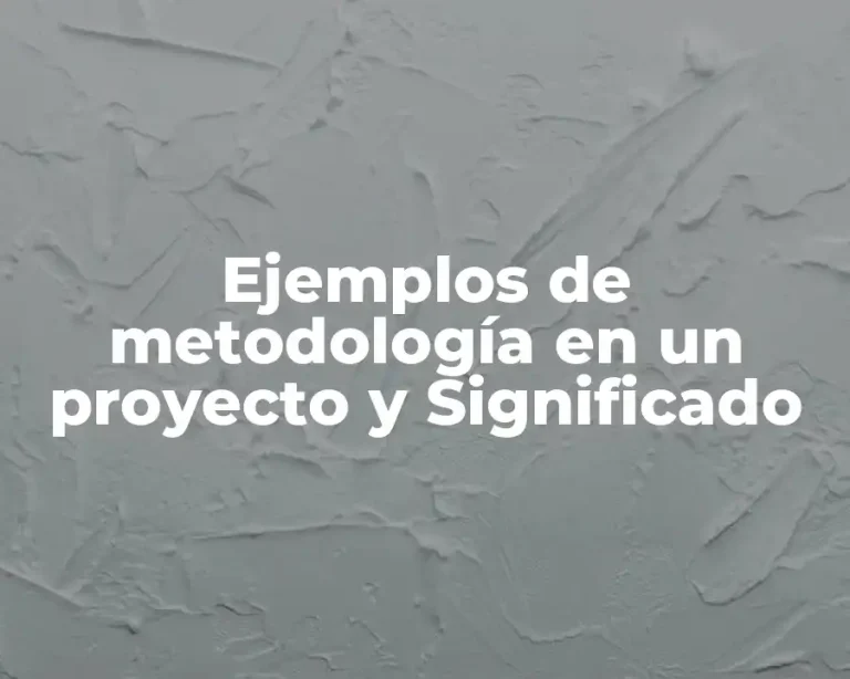 Ejemplos de metodología en un proyecto y Significado