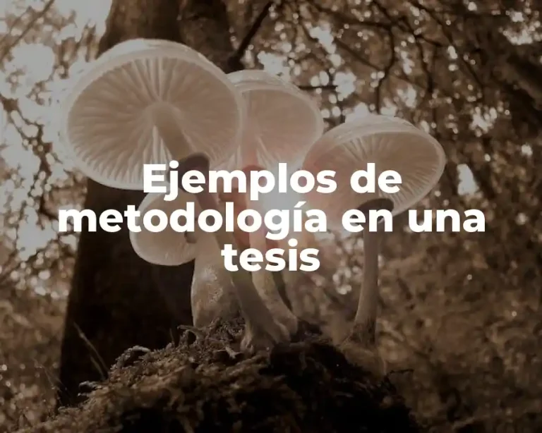 Ejemplos de metodología en una tesis