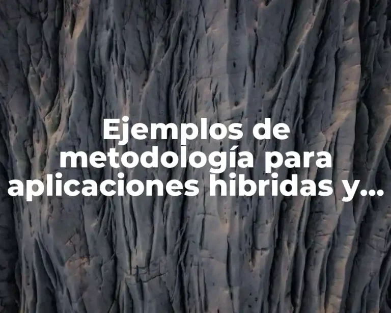 Ejemplos de metodología para aplicaciones hibridas y Significado