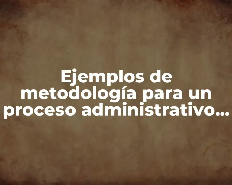 Ejemplos de metodología para un proceso administrativo en comedores escolares y Significado
