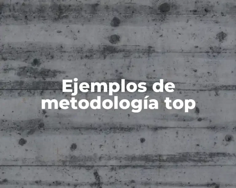 Ejemplos de metodología top
