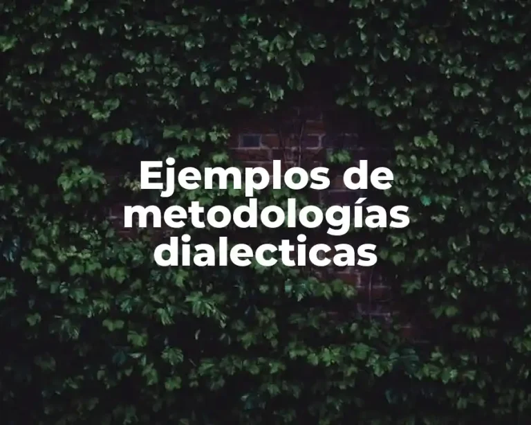 Ejemplos de metodologías dialecticas