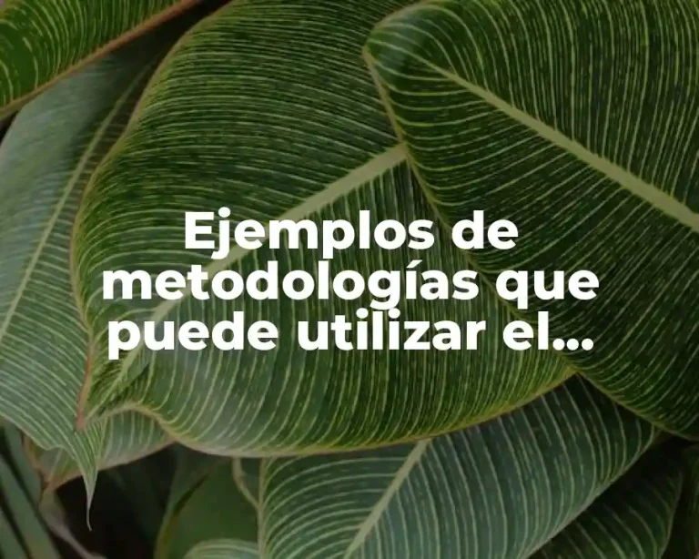 Ejemplos de metodologías que puede utilizar el maestro en clase y Significado