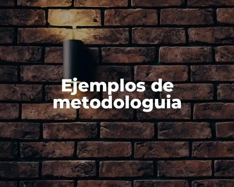 Ejemplos de metodologuia