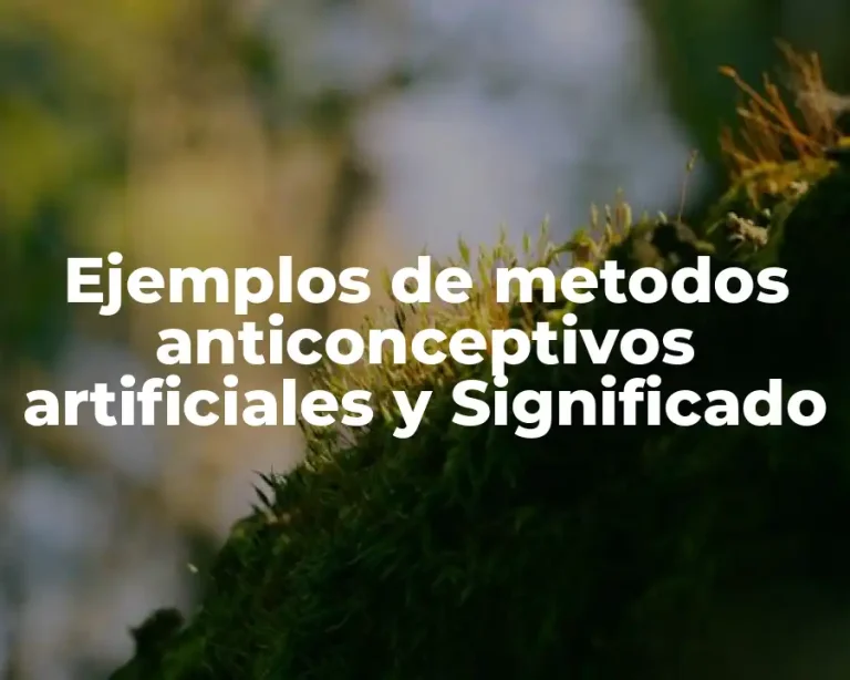 Ejemplos de metodos anticonceptivos artificiales y Significado