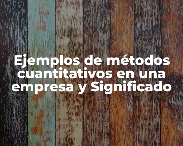 Ejemplos de métodos cuantitativos en una empresa y Significado