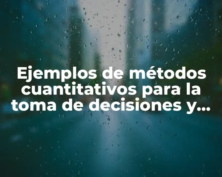 Ejemplos de métodos cuantitativos para la toma de decisiones y Significado