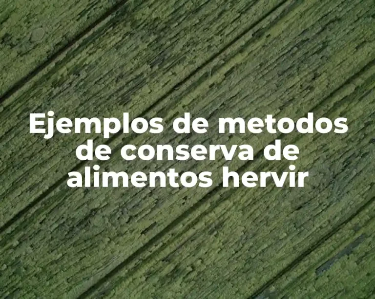 Ejemplos de metodos de conserva de alimentos hervir
