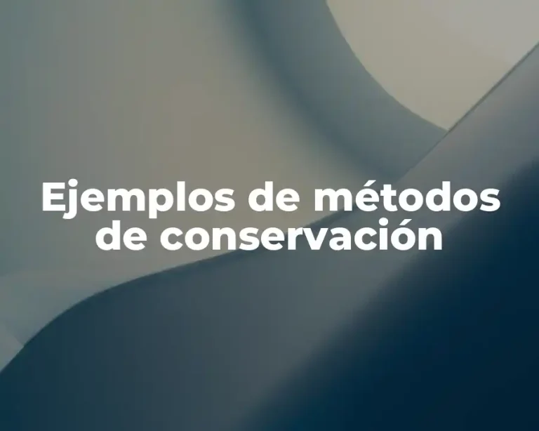 Ejemplos de métodos de conservación