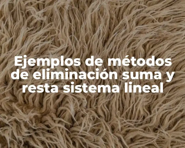 Ejemplos de métodos de eliminación suma y resta sistema lineal