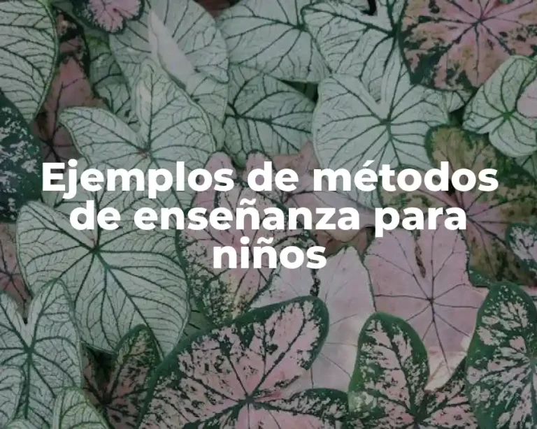 Ejemplos de métodos de enseñanza para niños