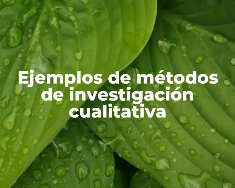 Ejemplos de métodos de investigación cualitativa