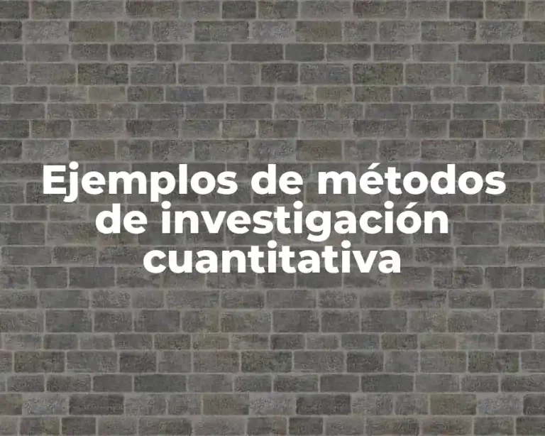 Ejemplos de métodos de investigación cuantitativa