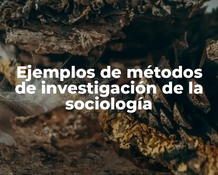 Ejemplos de métodos de investigación de la sociología