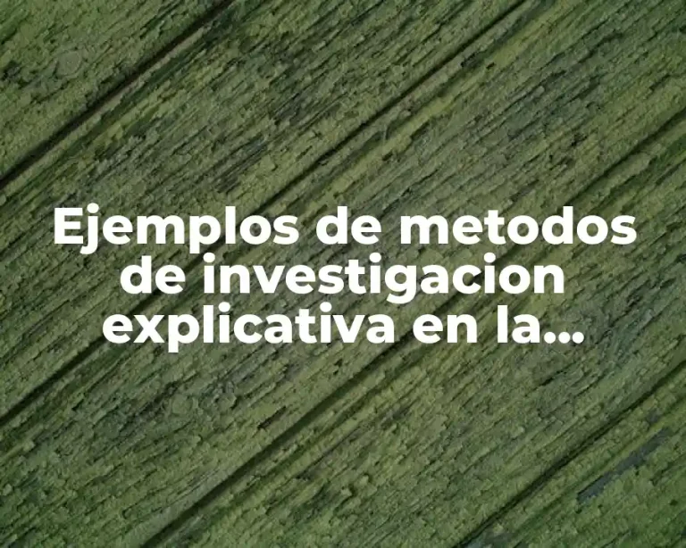 Ejemplos de metodos de investigacion explicativa en la activacion fisica