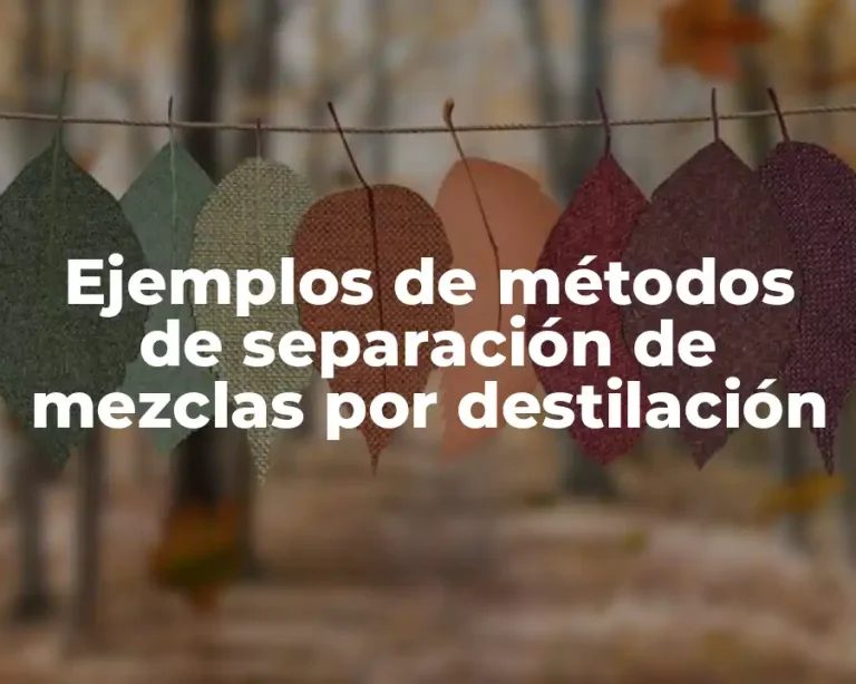 Ejemplos de métodos de separación de mezclas por destilación
