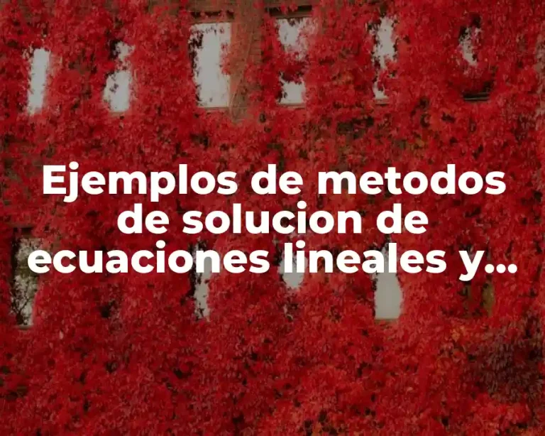 Ejemplos de metodos de solucion de ecuaciones lineales y Significado