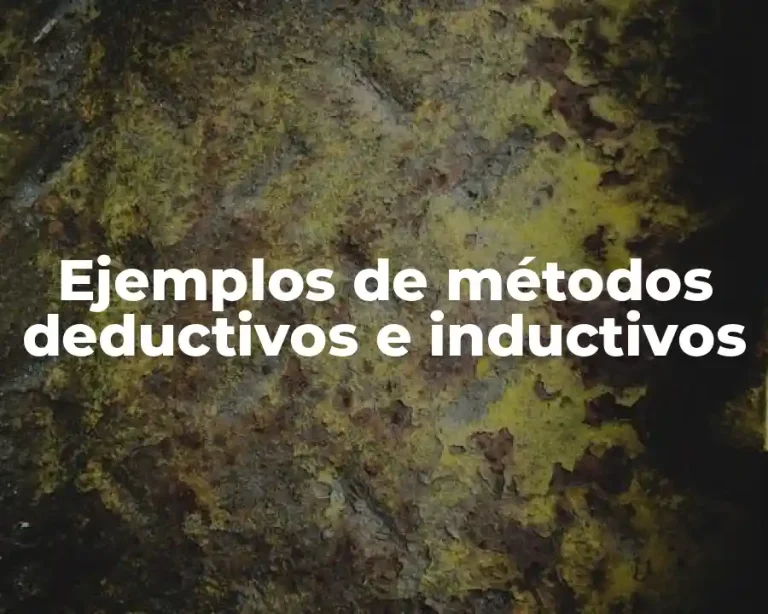 Ejemplos de métodos deductivos e inductivos