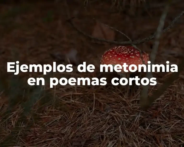 Ejemplos de metonimia en poemas cortos