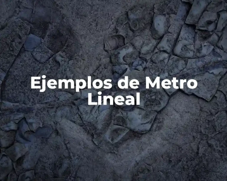 Ejemplos de Metro Lineal