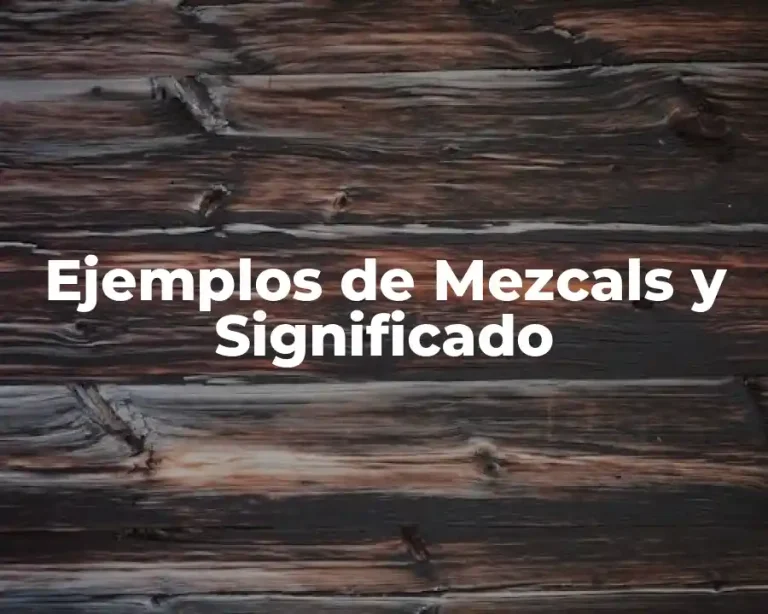 Ejemplos de Mezcals y Significado
