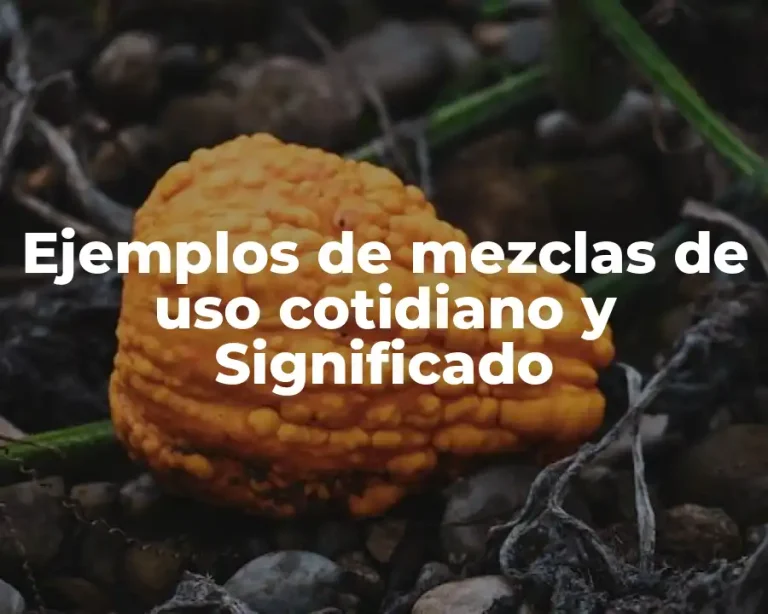 Ejemplos de mezclas de uso cotidiano y Significado