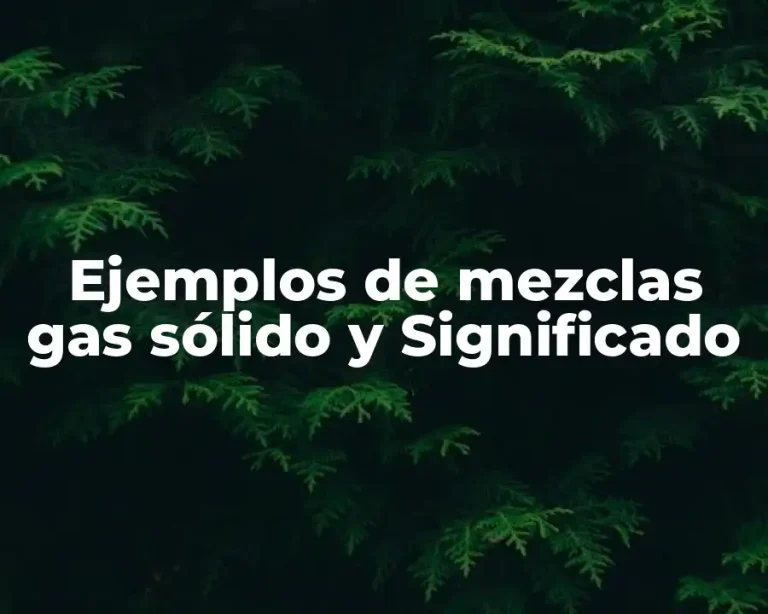 Ejemplos de mezclas gas sólido y Significado