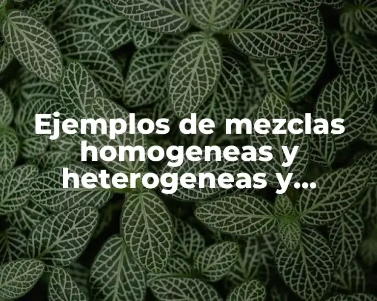 Ejemplos de mezclas homogeneas y heterogeneas y Significado
