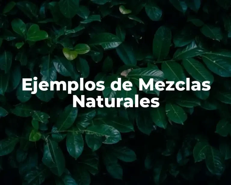 Ejemplos de Mezclas Naturales