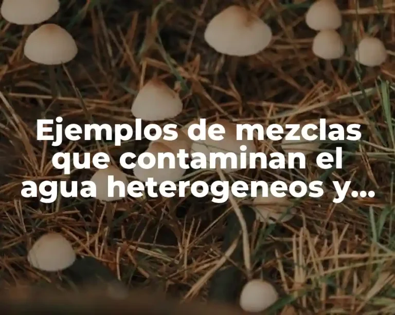 Ejemplos de mezclas que contaminan el agua heterogeneos y homogeneos