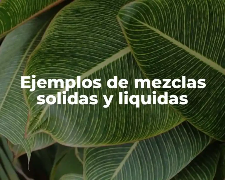 Ejemplos de mezclas solidas y liquidas