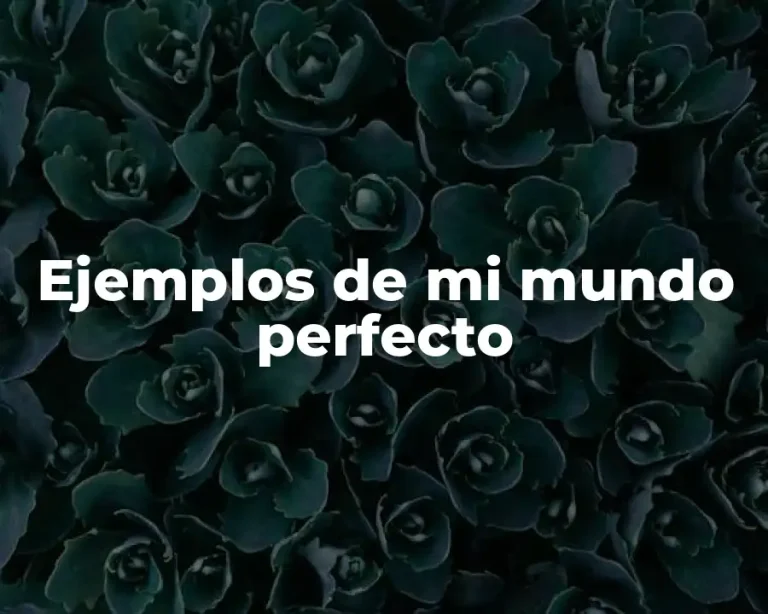Ejemplos de mi mundo perfecto