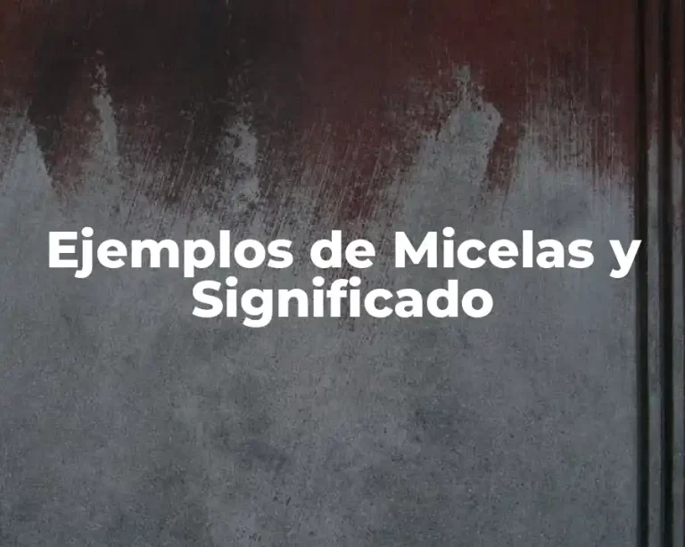Ejemplos de Micelas y Significado