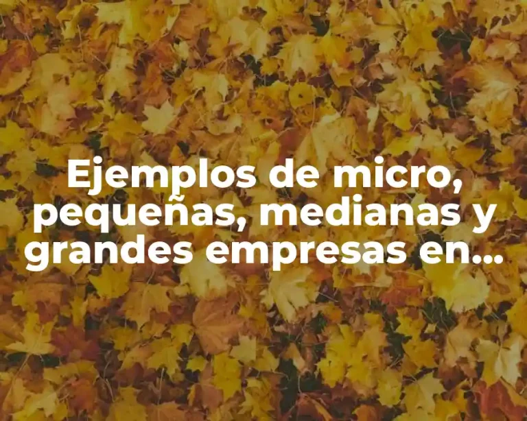 Ejemplos de micro, pequeñas, medianas y grandes empresas en México y Significado