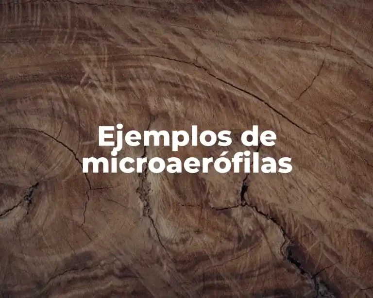 Ejemplos de microaerófilas