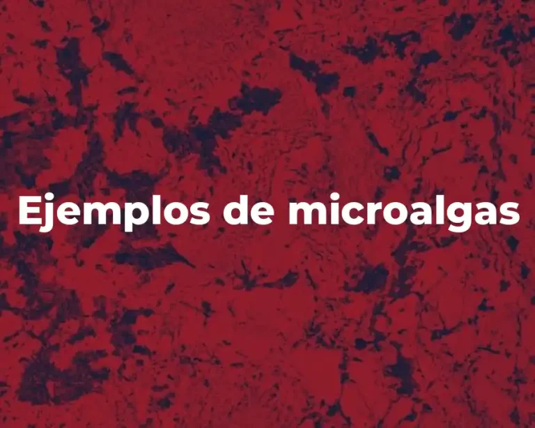 Ejemplos de microalgas