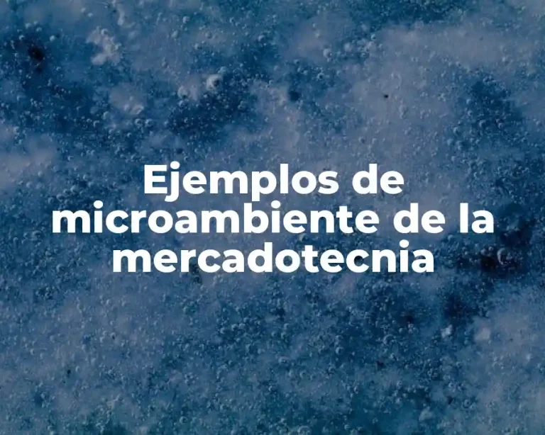 Ejemplos de microambiente de la mercadotecnia