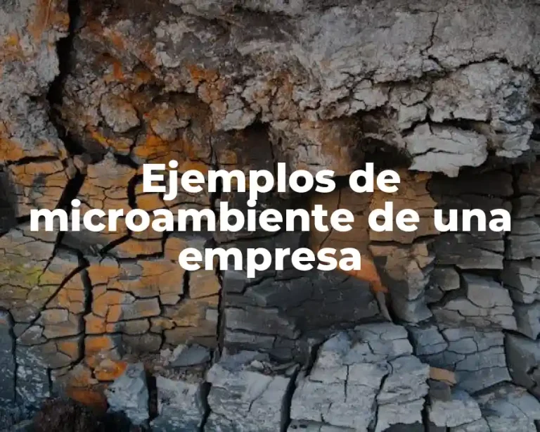 Ejemplos de microambiente de una empresa