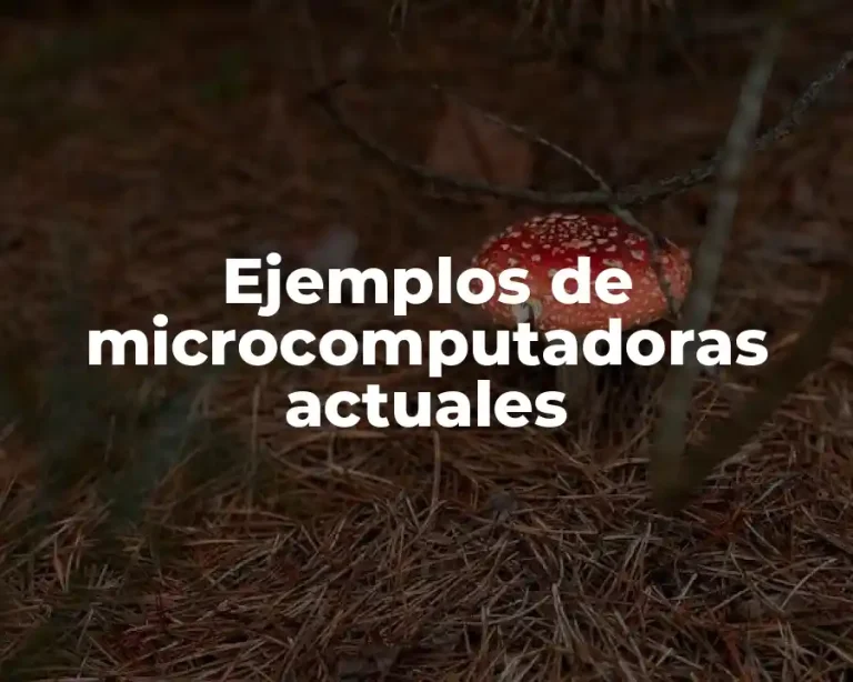 Ejemplos de microcomputadoras actuales