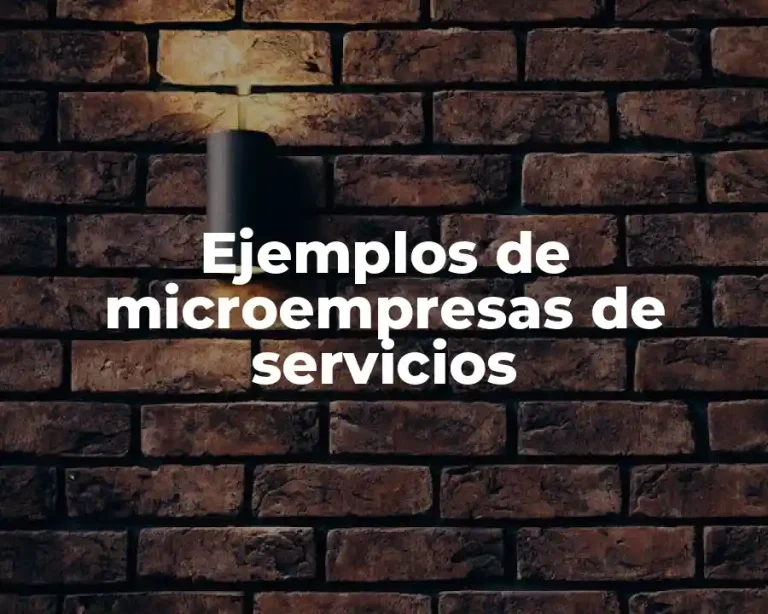 Ejemplos de microempresas de servicios