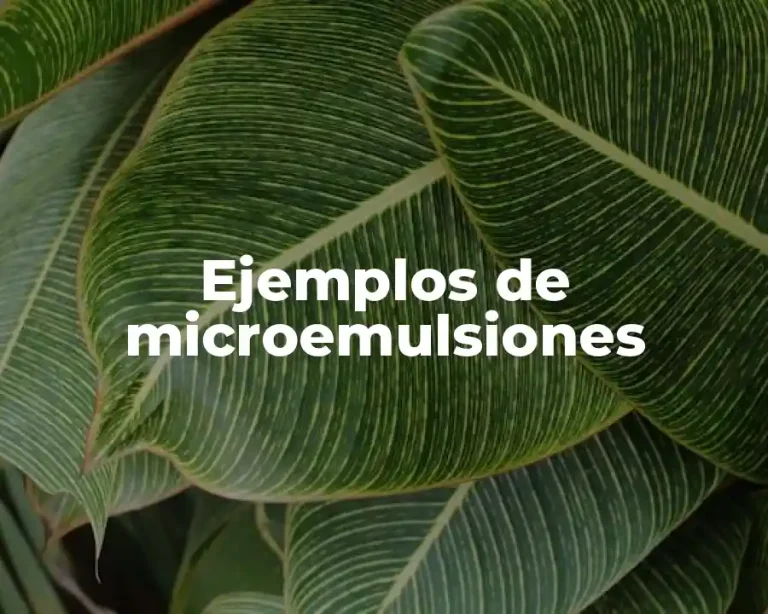 Ejemplos de microemulsiones