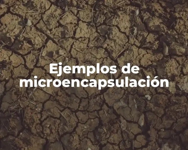 Ejemplos de microencapsulación